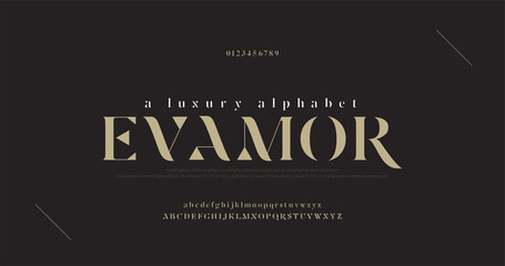 Elegant luxury alphabet letters font and number. Classic Lettering Minimal Fashion Designs. Typography fonts regular uppercase and lowercase. vector illustration