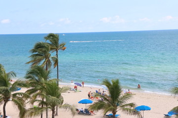 tropical beach with palm trees