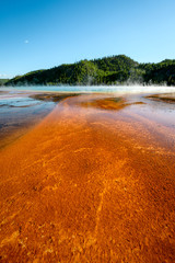 yellowstone park