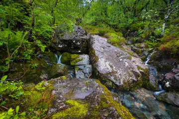 Naklejka na ściany i meble Picturesque landscape of a mountain river with traditional nature of Scotland.