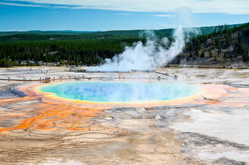 geyser in yellowstone national park
