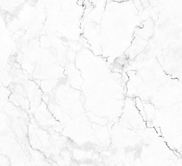 Obraz premium white background marble wall texture