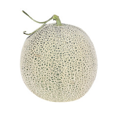 melon, fresh from the garden, isolated on white background.