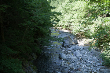 鷹ノ巣山の渓流