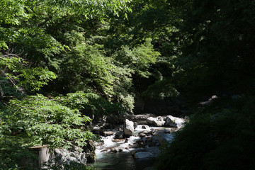 鷹ノ巣山、山の渓流