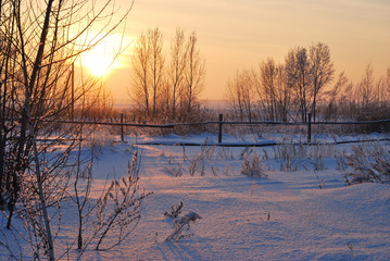 Fototapeta na wymiar Siberian village, Omsk region, Russia