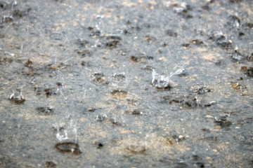 image of rain hits the ground.