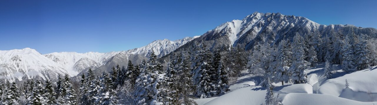 winter mountain landscape with trees and snow