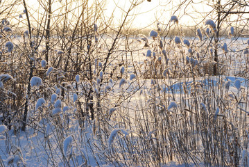 Evening on the Irtysh River, Omsk region, Siberia, Russia