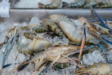 Pile of iced fresh raw giant freshwater prawn for sale in local seafood shop fresh market in Bangkok, Thailand.