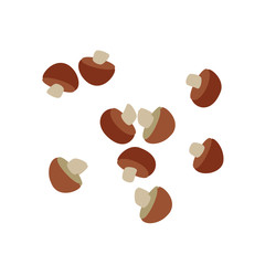 A lot of mushrooms sprinkled.