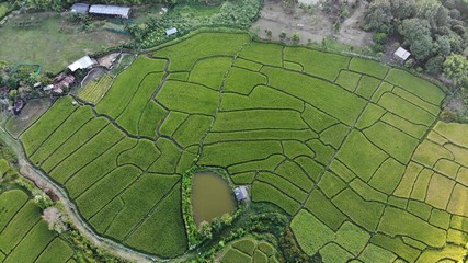 Fototapeta premium created by dji camera