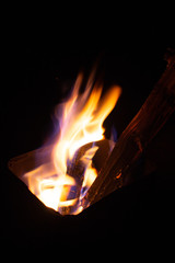 Elements Of Nature - Fire