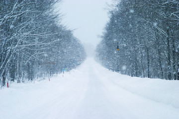 吹雪の一本道