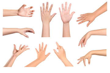 Set of  Woman hands isolated on white background .