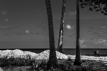 november 17 2019 La Cienaga, Dominican Republic. editorial image of black and white photo of rocks for sale on the caribbean coast