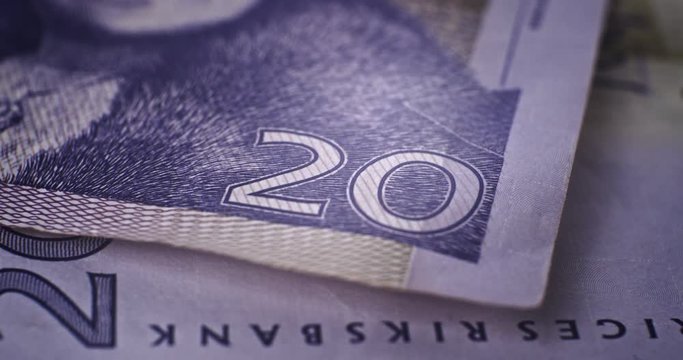 20 SEK CloseUp Deatails EU currency