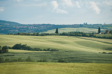 Tuscany farm landscapes and green rolling hills