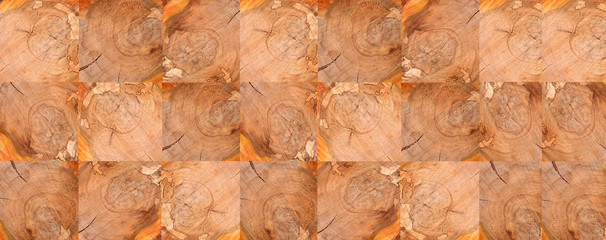 Wooden texture of a apple tree trunk as a background	