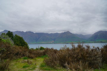 A foggy day in a spring time in the country side of Glenorchy, New Zealand