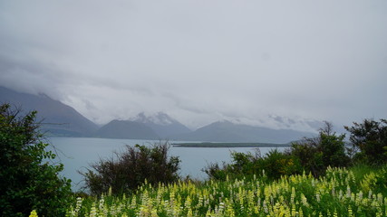 A foggy day in a spring time in the country side of Glenorchy, New Zealand