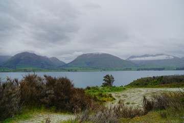 A foggy day in a spring time in the country side of Glenorchy, New Zealand