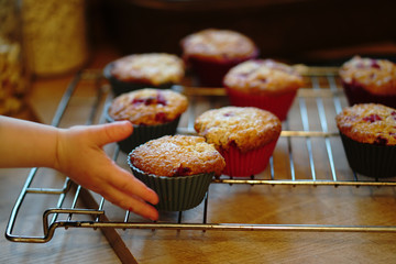 Muffins backen