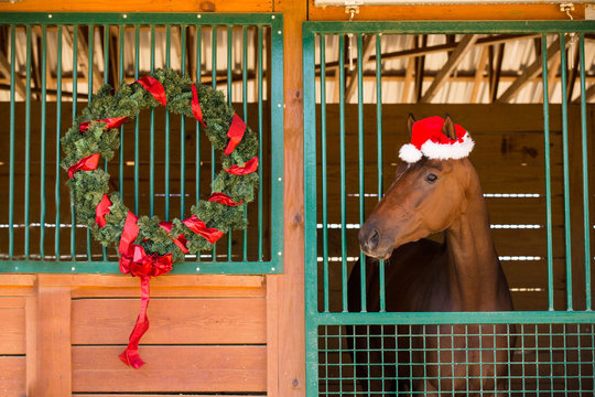 Christmas horse stables