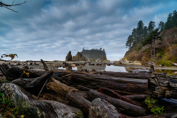 Fototapeta premium Ruby Beach