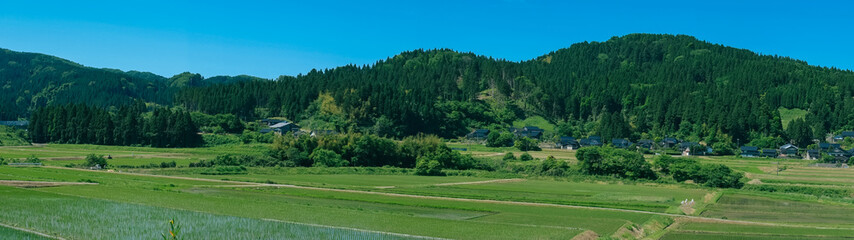 里山風景