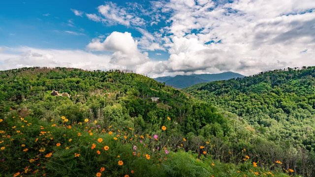 Sun reflecting on Mountain Fields Timelapse in Gatlinburg Tennessee Anakeesta