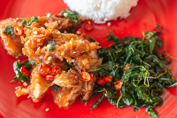 Stir-fried basil chicken in a red dish with close-up steamed rice