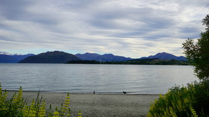 A quiet and tranquil morning in a spring time in Wanaka lake side, New Zealand