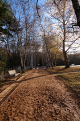 Mountain landscape, autumn forest.