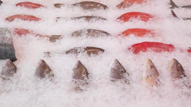 Zoom out of assortment of fish on ice, displayed in a UK fishmonger