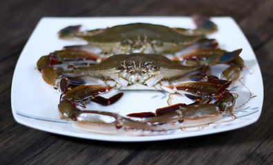 Sea crab on wood background. Ready to be cooked.