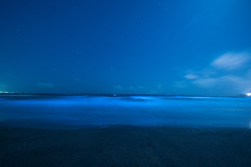 The sea was shining blue