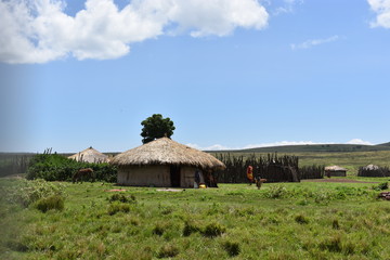 Fototapeta na wymiar African Village