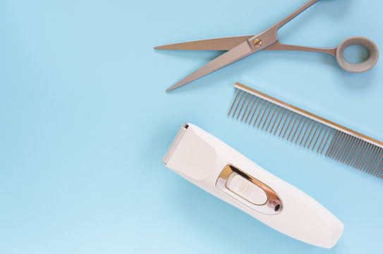 top view of dog grooming tools set on light blue background. pet care and hygienic concept.