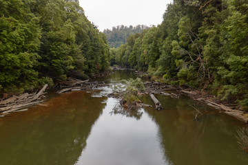 Fototapeta na wymiar Savage River Corinna, Tasmania, Australia