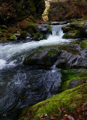 春の渓流　-日本、長野県、茅野市、杜鵑峡