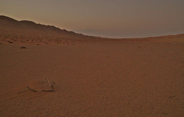 Fototapeta na wymiar Scenic landscape of Wahiba Sands desert in Oman