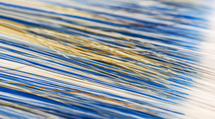 Obraz premium Texture of brush bristle. Close up. Abstract background.