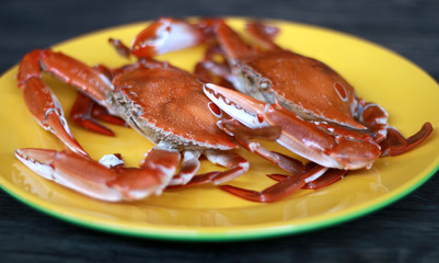 Boiled crab on wood background.