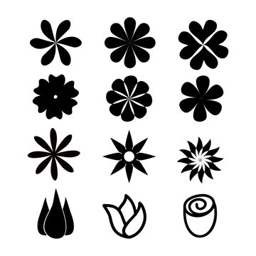Set of flowers vector illustration.