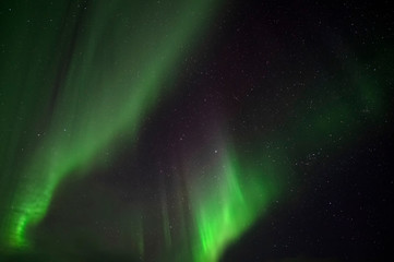 Obraz na płótnie Canvas Aurora Borealis. Northern Lights. Teriberka. Murmansk region. Russia