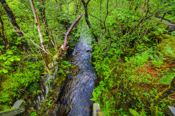 Picturesque landscape of a mountain river with traditional nature of Scotland.