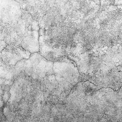 white wall background