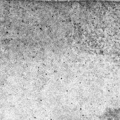 white wall background