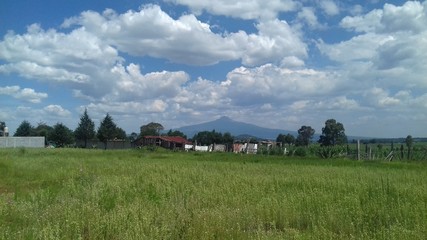 Obraz premium PRADERA EN VERANO CON CIELO AZUL